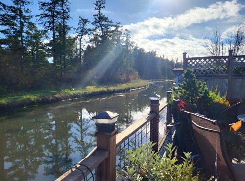 Charming Cottage by Creek & Ocean