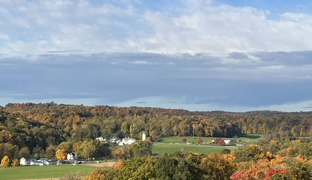 Charming Cottage Double only minutes from Malabar Farm & Pleasant Hill Lake!