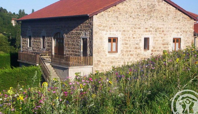 Charming cottage for 11 with pets allowed and wood stove, Livradois-Forez