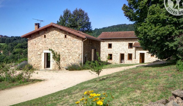 Charming cottage for 10, nature and comfort with pets allowed