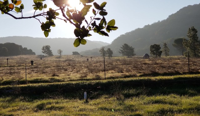 Charming Cottage/Guest House 2 miles from Downtown Napa