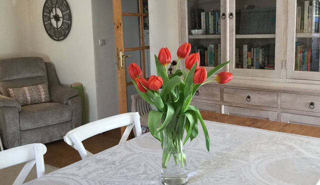 CHARMING COTTAGE HOME IN THE DORDOGNE