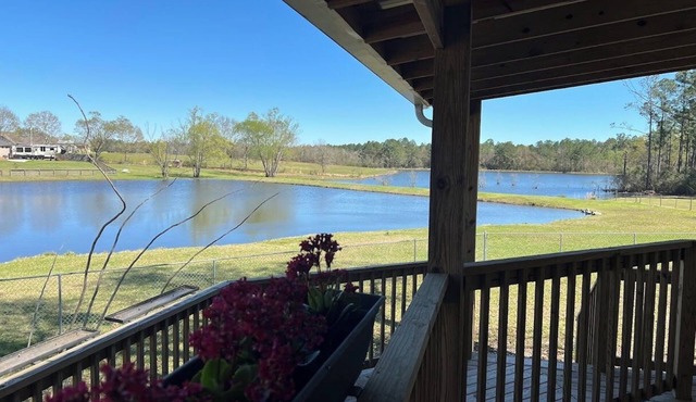 Charming Cottage in Gulfport overlooking 2 beautiful pondsnWIFInPet Friendly