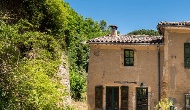 Charming cottage in lush countryside surrounded by llamas