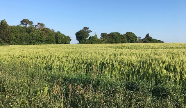 Charming cottage in the heart of the countryside