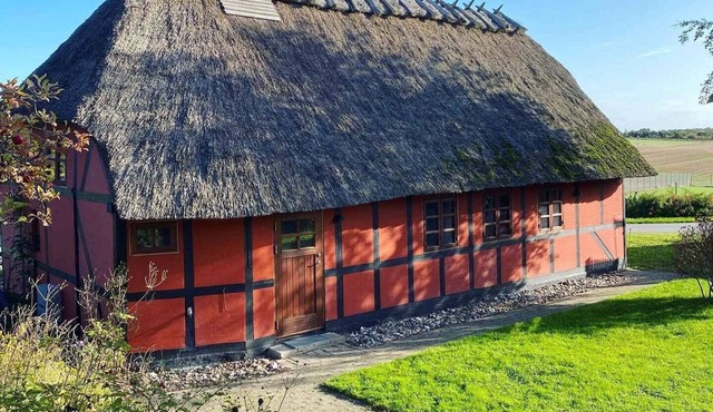 Charming cottage in the best H.C. Andersen style