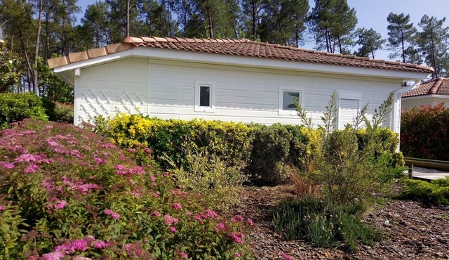 Charming cottage Landes