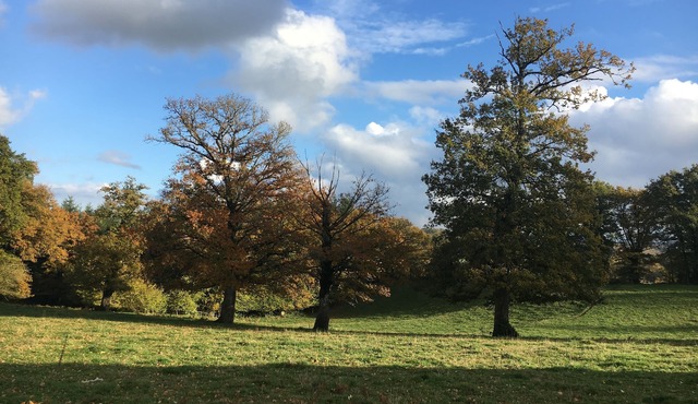 Charming cottage Les Trois Chênes