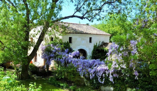 Charming cottage on the edge of Charente