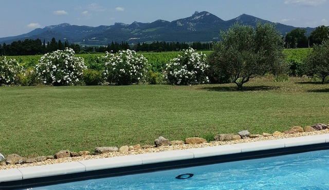 Charming cottage on the ground floor renovated in a Provencal farmhouse 14m pool