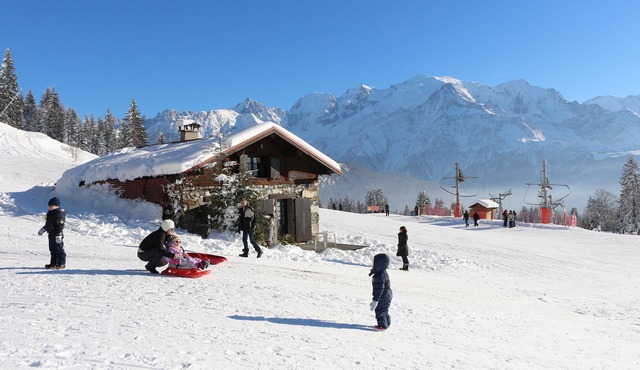 Charming cottage on the Plaine Joux slopes (1400 m)