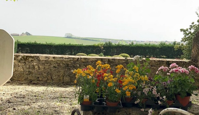 Charming cottage overlooking the vineyards