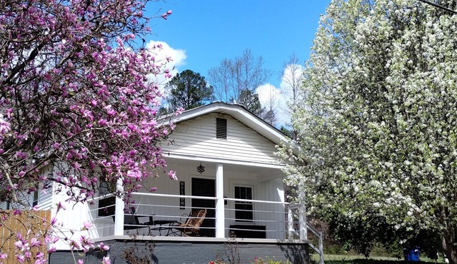 Charming cottage Pet Friendly 1 BR Tranquil Steele Wifi