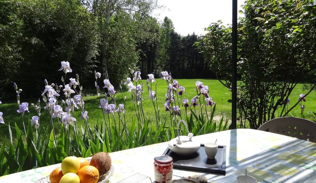 Charming cottage - private terrace overlooking the large wooded park