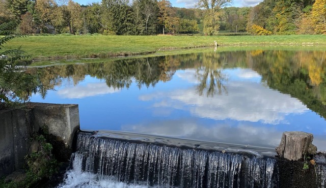 Charming cottage with pond and waterfall view