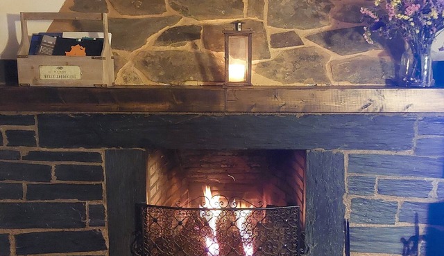 🏡 Charming cottage with fireplace & patio – natural pool just 500m away! 🐶🐱💗