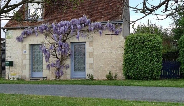 Charming cottage with garden, near Chenonceau and Beauval
