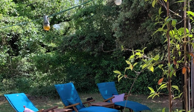 Charming country house, surrounded by nature and absolute peace!