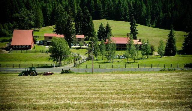 Charming country accommodations at Brookside Acres/horse and rider accommodation