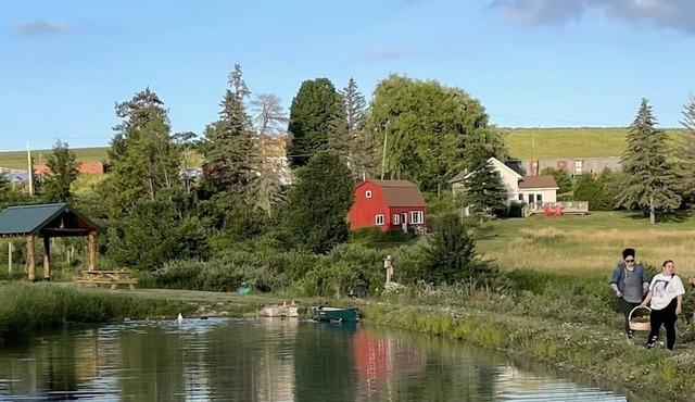 Charming Country Farm Stay with Spectacular Views and Fun!