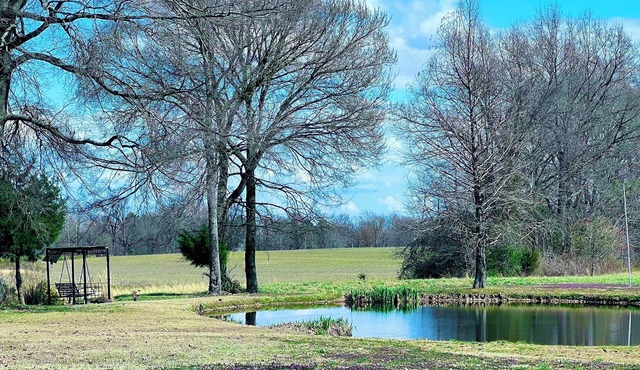Charming country getaway in W. TN sleeps 6. Family & Pet friendly near Blue Oval