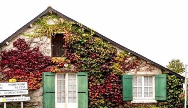 Charming Country Home Near Forest with WiFi, Basketball & Table Tennis