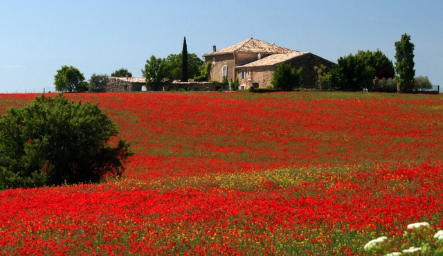Charming country house with swimming pool
