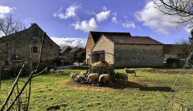 Charming country house in the heart of Burgundy