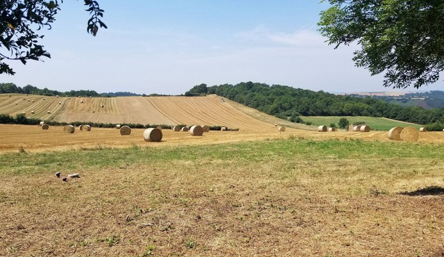 Charming Country Retreat in the Gorges Area of Rural France