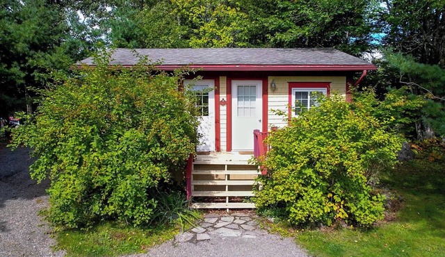 Charming Countryside Cabin. Pet-Friendly!
