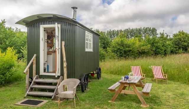 Charming craftsman-built shepherd's hut, set in it's own private woodland glade
