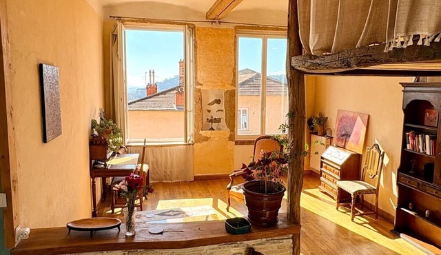 Charming croix roussien apartment Lyon 1
