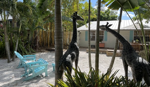 Charming dog-friendly, large private tropical backyard. 3 bed 2 bath Great value