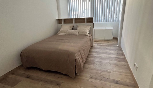 Charming downtown apartment