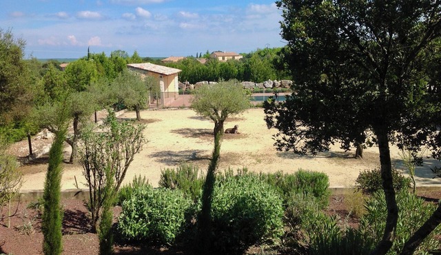 CHARMING DUPLEX - NATURE AND POOL IN GARD