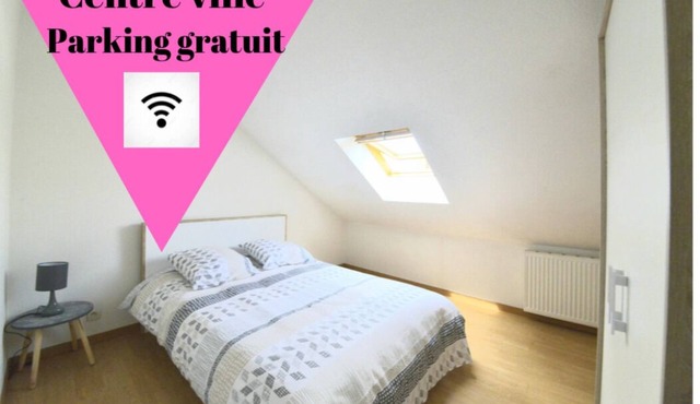 Charming Duplex 2 Cosy Downtown