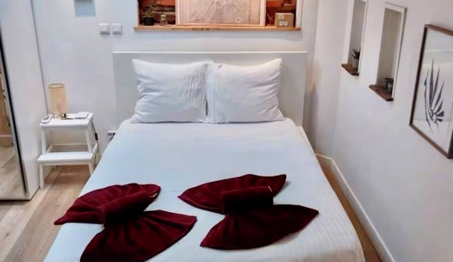 Charming duplex apartment in the heart of Toulouse