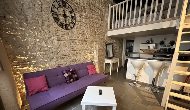 Charming duplex Orléans old center parking possible