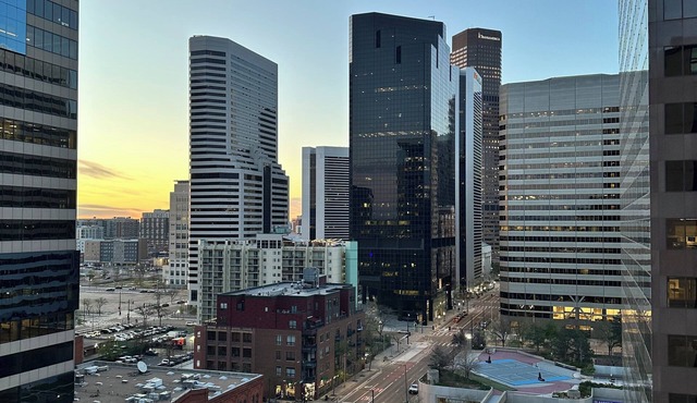 Charming elegant high-rise apartment in heart of Denver