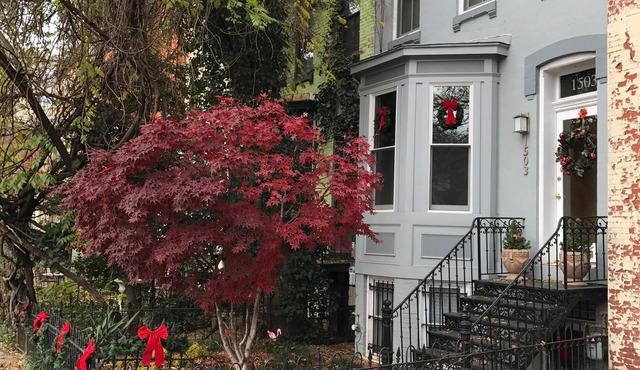 Charming English basement apartment in historic Dupont Circle
