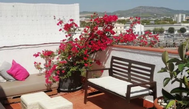 Charming attic apartment, fantastic roof terrace