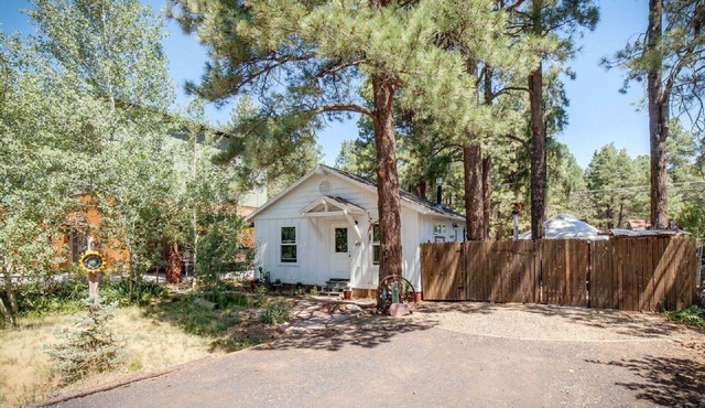 Charming European style house with Yurt and direct National Forest access