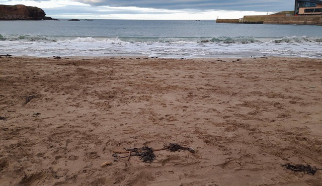 Charming Eyemouth 1-Bed Apt, Sleeps 2 near Beach