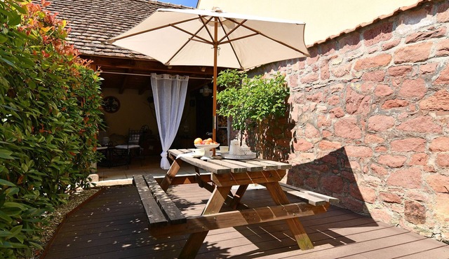 Charming F2 in Alsace Vineyard, Cozy Comfort, Outdoor Space, Near Colmar & Mulhouse