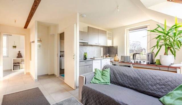 Charming F2 in Erstein Comfort