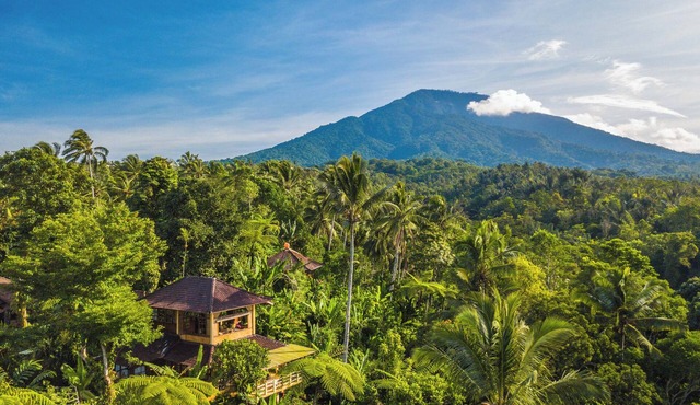 Charming Family Bungalow in the treetops at Sarinbuana Eco Lodge
