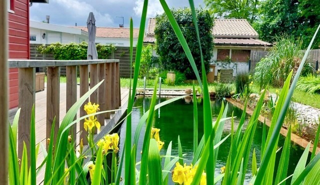 Charming family home- natural pool