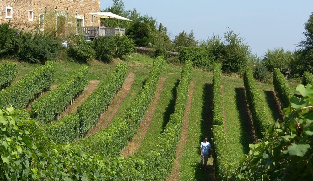 Charming family house - restored 18th century Bearnaise farm