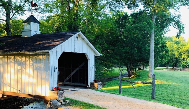 Charming Family Retreat near Buffalo River Resort