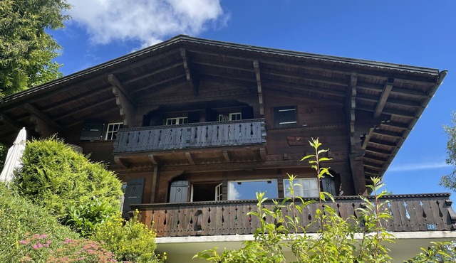 Charming family-style Chalet with full view of the Rinderberg